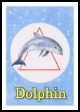 Dolphin Angel Essence by Hazel Raven